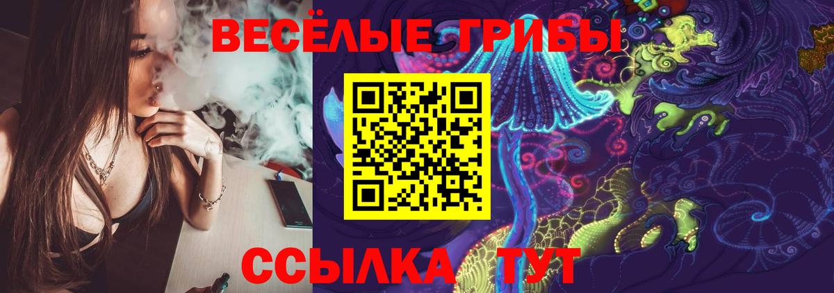 Галлюциногенные грибы MAGIC MUSHROOMS  Вход с VPN  Аксай 